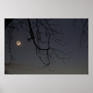 The Moon & Mercury Poster