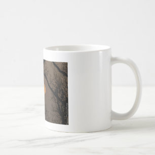The moon mug