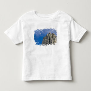 The moon rises and shines through the clouds toddler t-shirt
