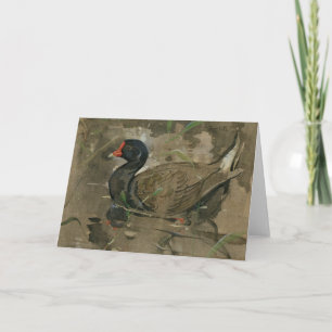 The Moorhen Joseph Crawhall Card
