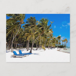 The Moorings Resort, Marathon, Key West, 3 Postcard