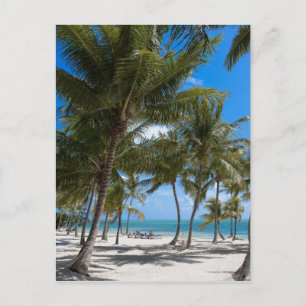 The Moorings Resort, Marathon, Key West, Postcard