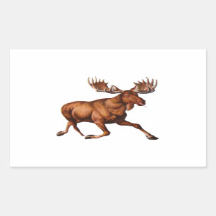 THE MOOSE IS LOOSE STICKER
