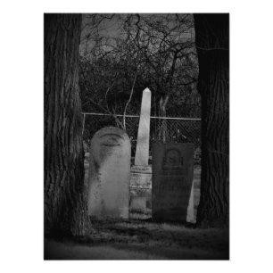 "The Morbid Curious" Photo Print