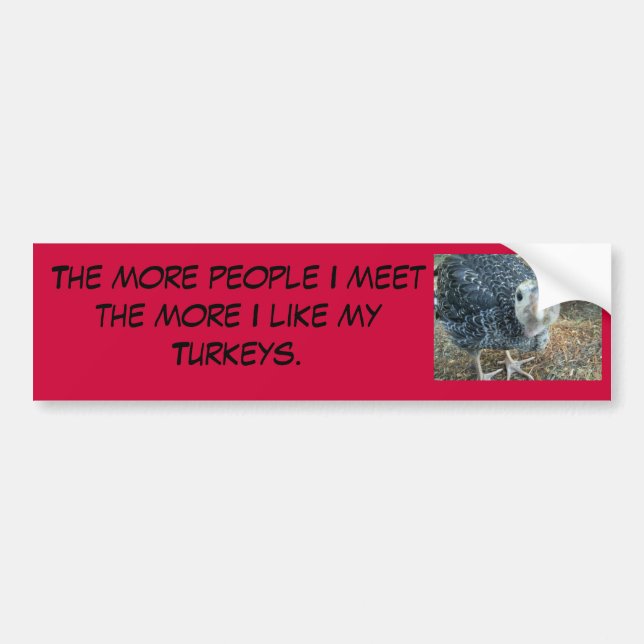 the more people I meet bumper sticker (Front)