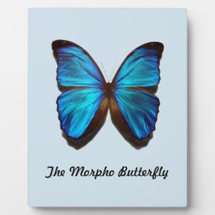 The Morpho Butterfly Plaque