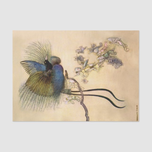 “The Most Beautiful Bird” by Warwick Goble Tissue Paper (Front)