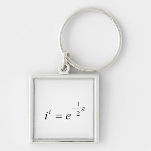 The most beautiful Math Equation Keychain