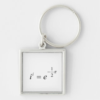 The most beautiful Math Equation Keychain