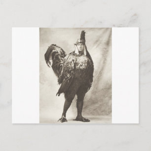 The Most Dignified Chicken Man Of All Postcard