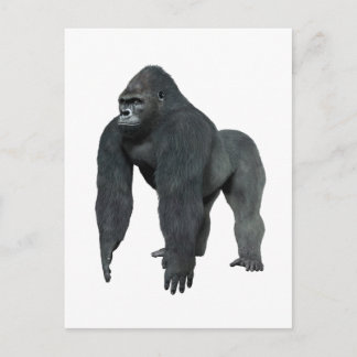 THE MOST DOMINANT POSTCARD