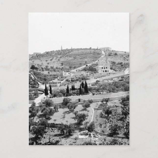 The Mount of Olives in Jerusalem Postcard (Front)