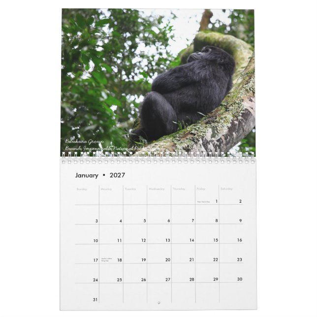The Mountain Gorilla. No US holidays Calendar (Jan 2027)