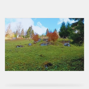 The Mountain Meadow - Wild Nature Romania Acrylic Sign