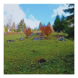 The Mountain Meadow - Wild Nature Romania Poster