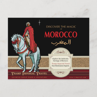 The Mounted Arab Postcard