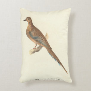 The Mourning Dove (Carolina Turtle Dove) NY Birds Accent Pillow