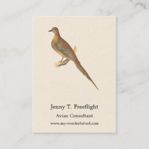 The Mourning Dove (Carolina Turtle Dove) NY Birds Business Card