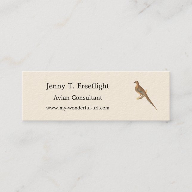 The Mourning Dove (Carolina Turtle Dove) NY Birds Mini Business Card (Front)