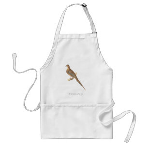The Mourning Dove (Carolina Turtle Dove) NY Birds Standard Apron