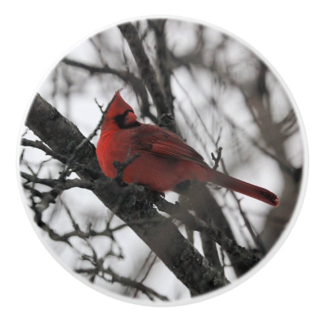 The Mr. Ceramic Knob (Front)