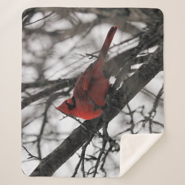 The Mr. Sherpa Blanket (Front)