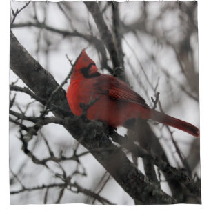 The Mr. Shower curtain