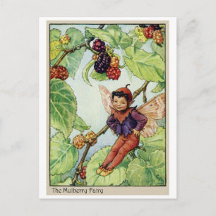 The Mulberry Fairy Postcard