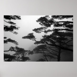 The Mystic Trees - Print