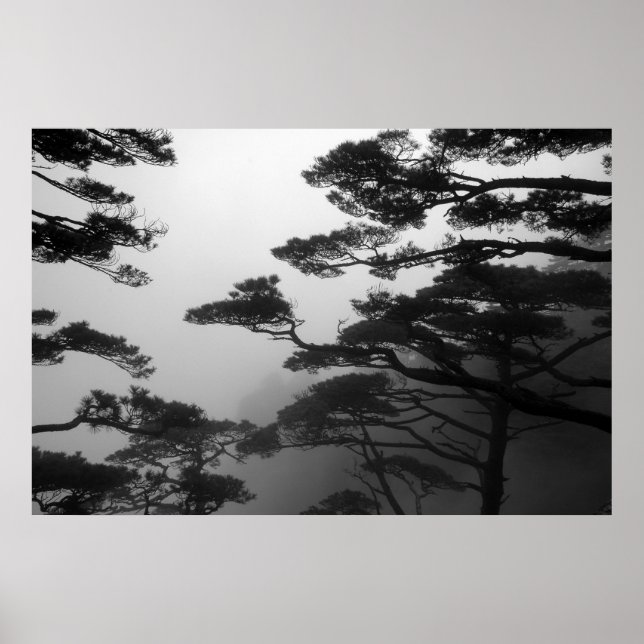 The Mystic Trees - Print (Front)