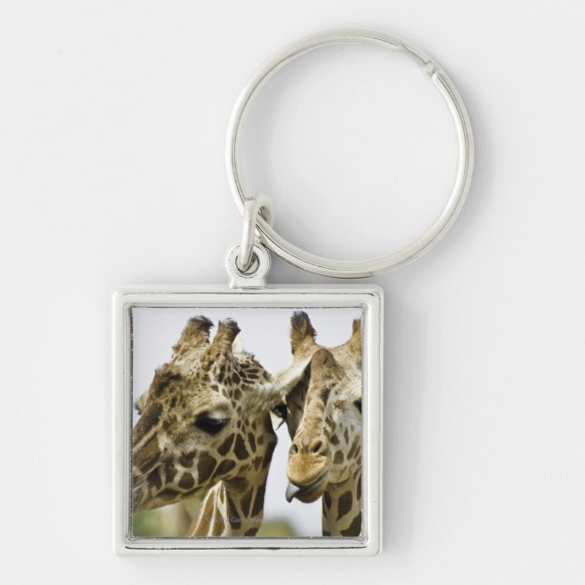 The name giraffe is derived from the Arab word Keychain (Front)