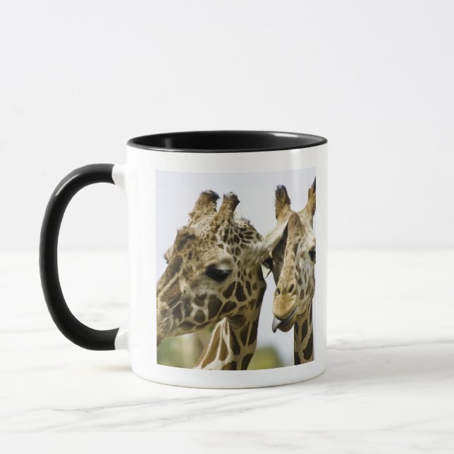 The name giraffe is derived from the Arab word Mug (Left)