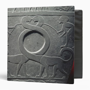 The Narmer Palette Binder