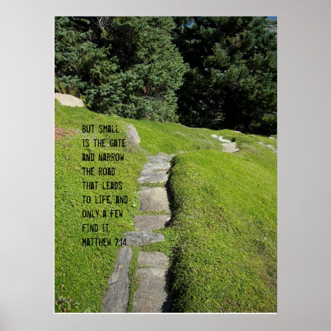 The Narrow Path Poster (Front)