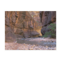 The Narrows Zion National Park