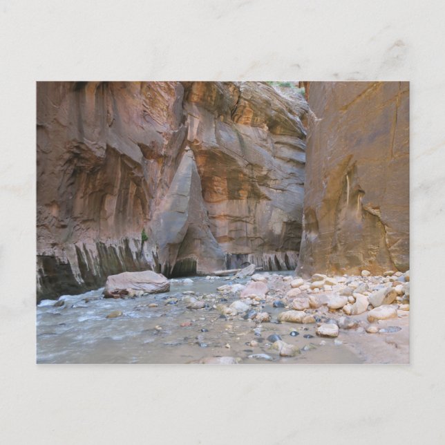 The Narrows Zion National Park Postcard (Front)
