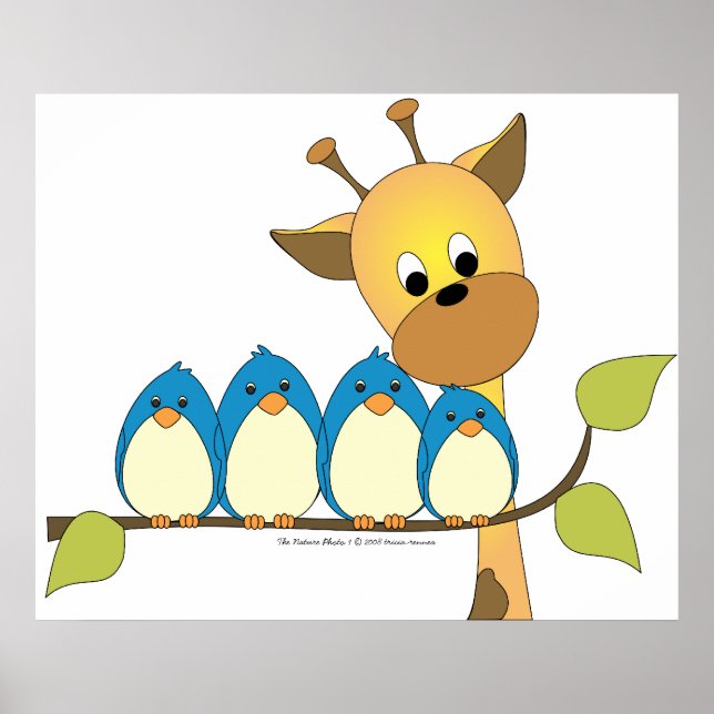 The Nature Photo 1 Poster (Front)