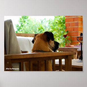 The Neighborhood Watch Poster