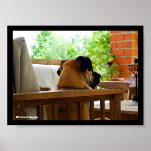 The Neighborhood Watch Poster