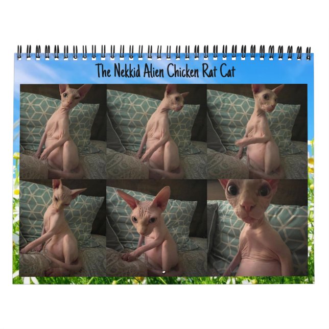 The Nekkid Alien Calendar 2024 (Cover)