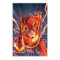 The New 52 - The Flash #1