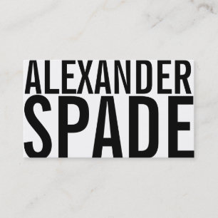 The New Cool Biz Card Painter, Contractor, Custom