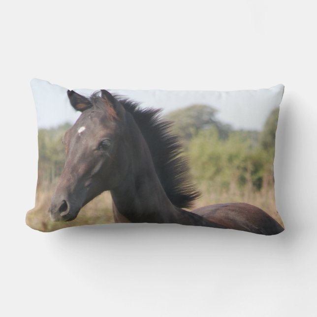 The New Pony Lumbar Pillow (Front)