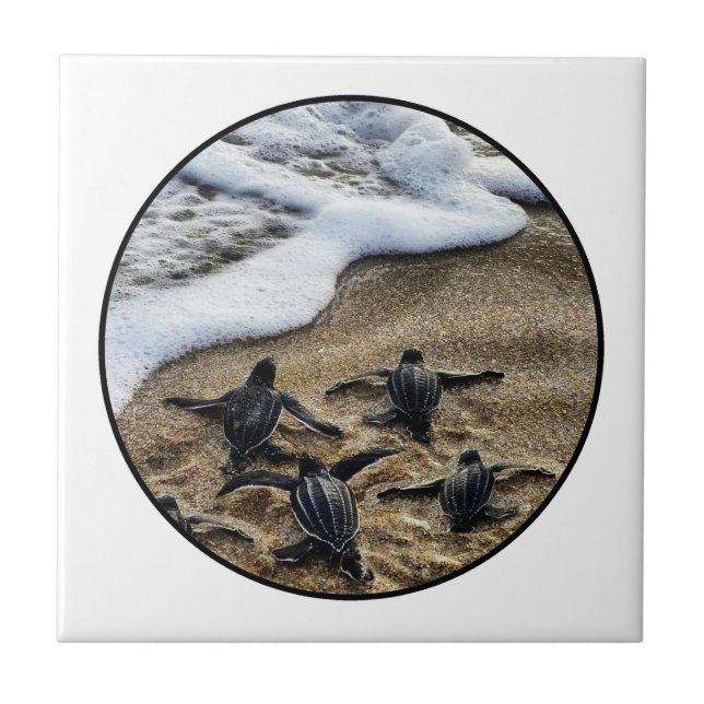 The newborn instinct tile (Front)