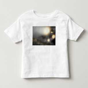 The night sky as seen from a hypothetical plane toddler t-shirt
