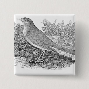 The Nightingale 2 Inch Square Button