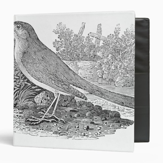 The Nightingale Binder (Front/Inside)