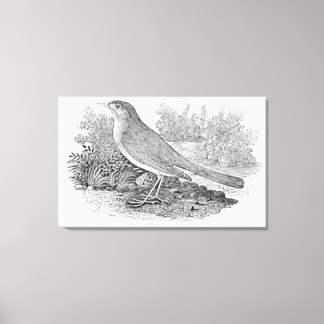 The Nightingale Canvas Print (Front)