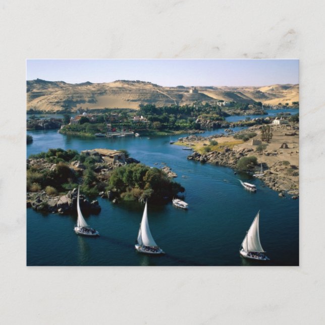 The Nile River Postcard (Front)
