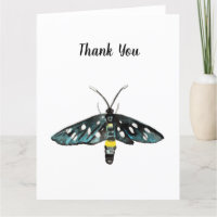 The Nine-Spotted Moth Amata phegea Illustration